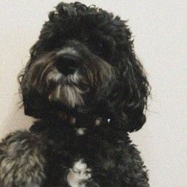 Odoo - Sample 2 for three columns